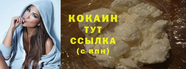 сатива Богданович