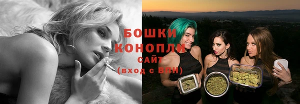гидропоника Белоозёрский