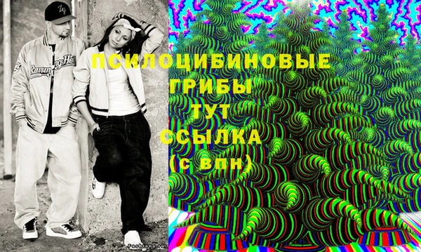 гидропоника Белоозёрский