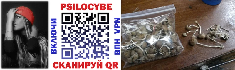 Псилоцибиновые грибы Psilocybe  hydra tor  Белозерск 